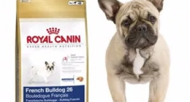 Как да изберете храната „royal kanin“ за вашето куче